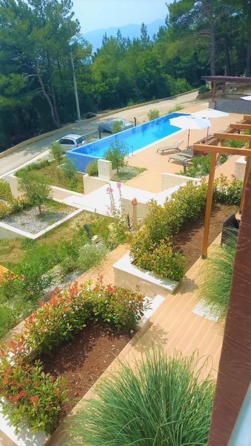 Cozy Apartments With Pool And Splendid Seaview Kavač エクステリア 写真